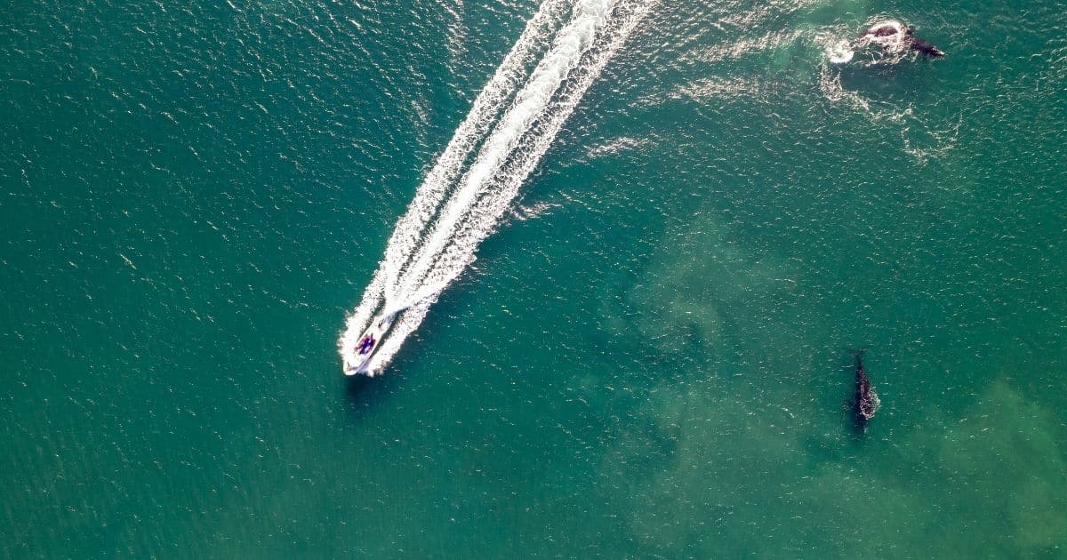 Introducing Our Motorboat & Speedboat Insurance Page